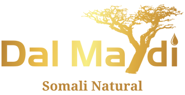 Dal Maydi
