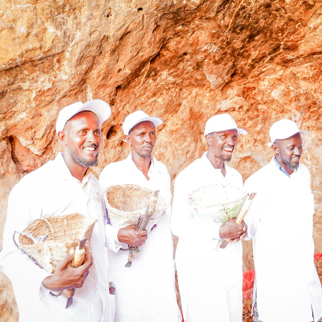 Hands sorting frankincense resin in the Ufeyn highlands